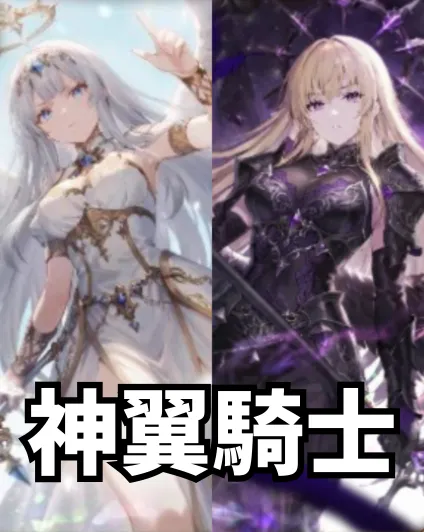 神翼騎士